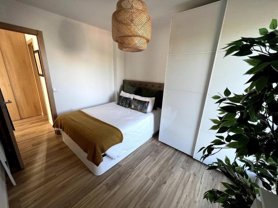 Penthouse Terraco De Coimbra 아파트 외부 사진